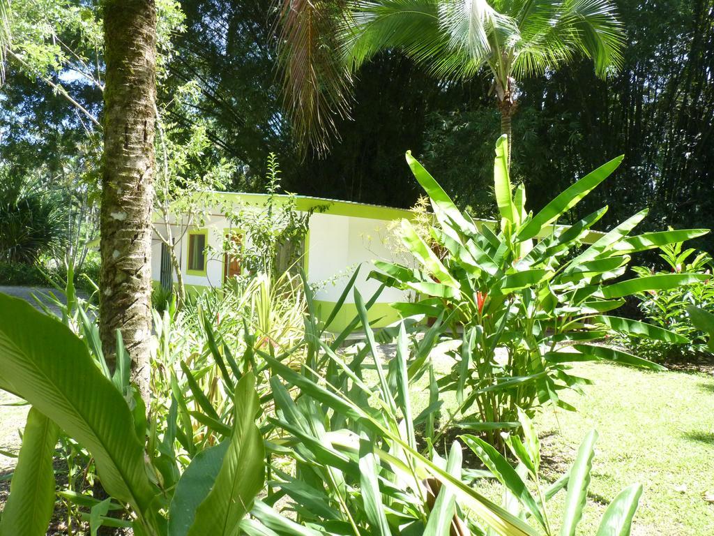 3 Bamboo Eco Lodge カウイータ エクステリア 写真