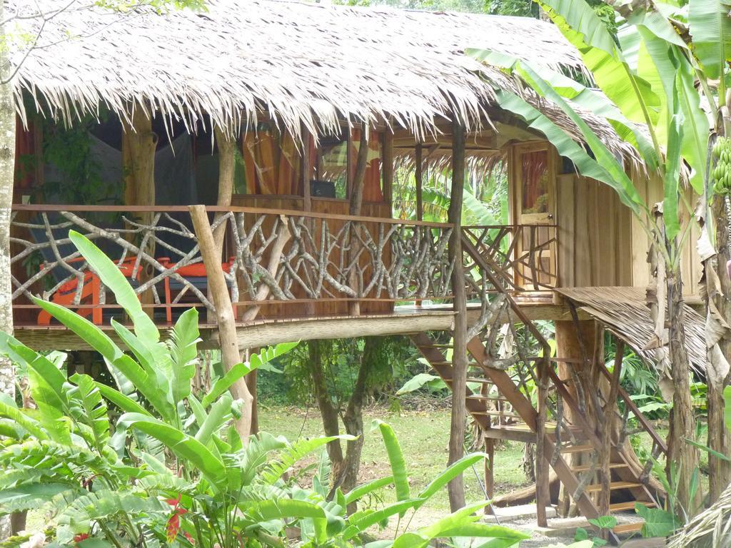 3 Bamboo Eco Lodge カウイータ エクステリア 写真