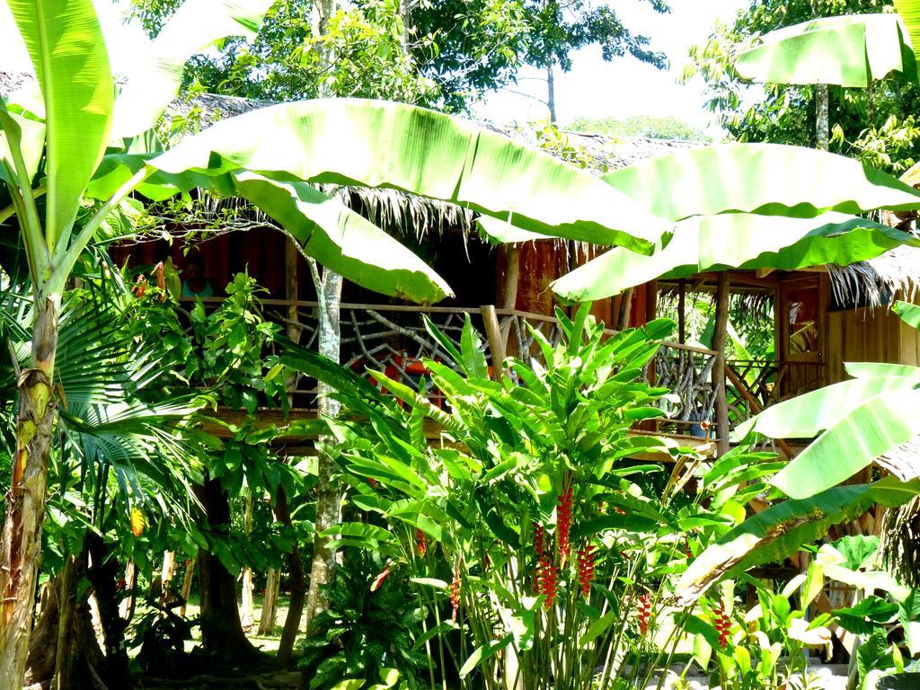 3 Bamboo Eco Lodge カウイータ エクステリア 写真