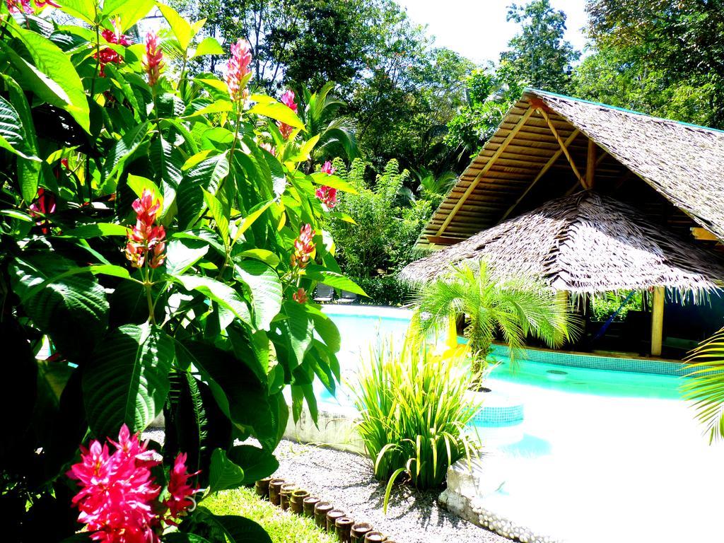 3 Bamboo Eco Lodge カウイータ エクステリア 写真