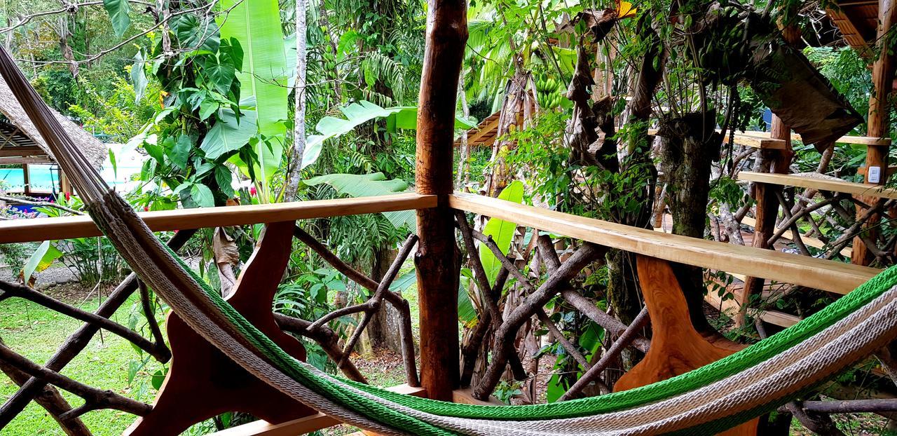 3 Bamboo Eco Lodge カウイータ エクステリア 写真