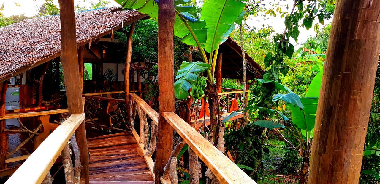 3 Bamboo Eco Lodge カウイータ エクステリア 写真