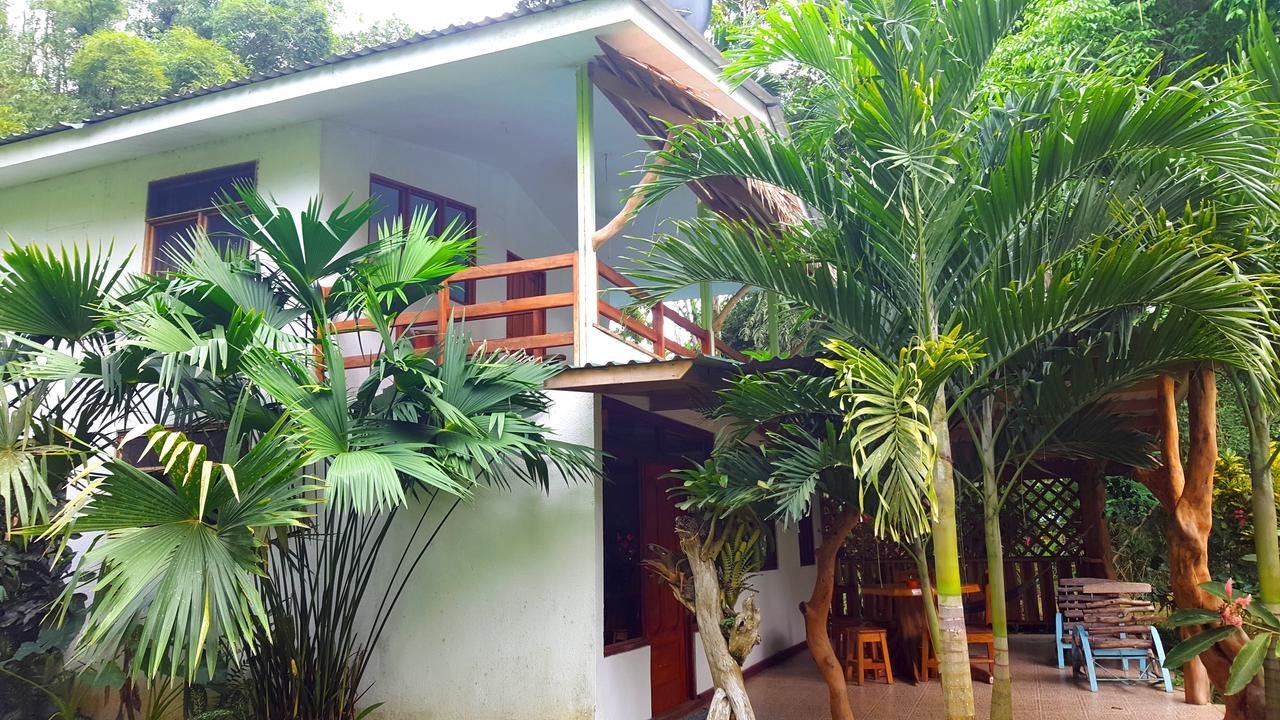 3 Bamboo Eco Lodge カウイータ エクステリア 写真