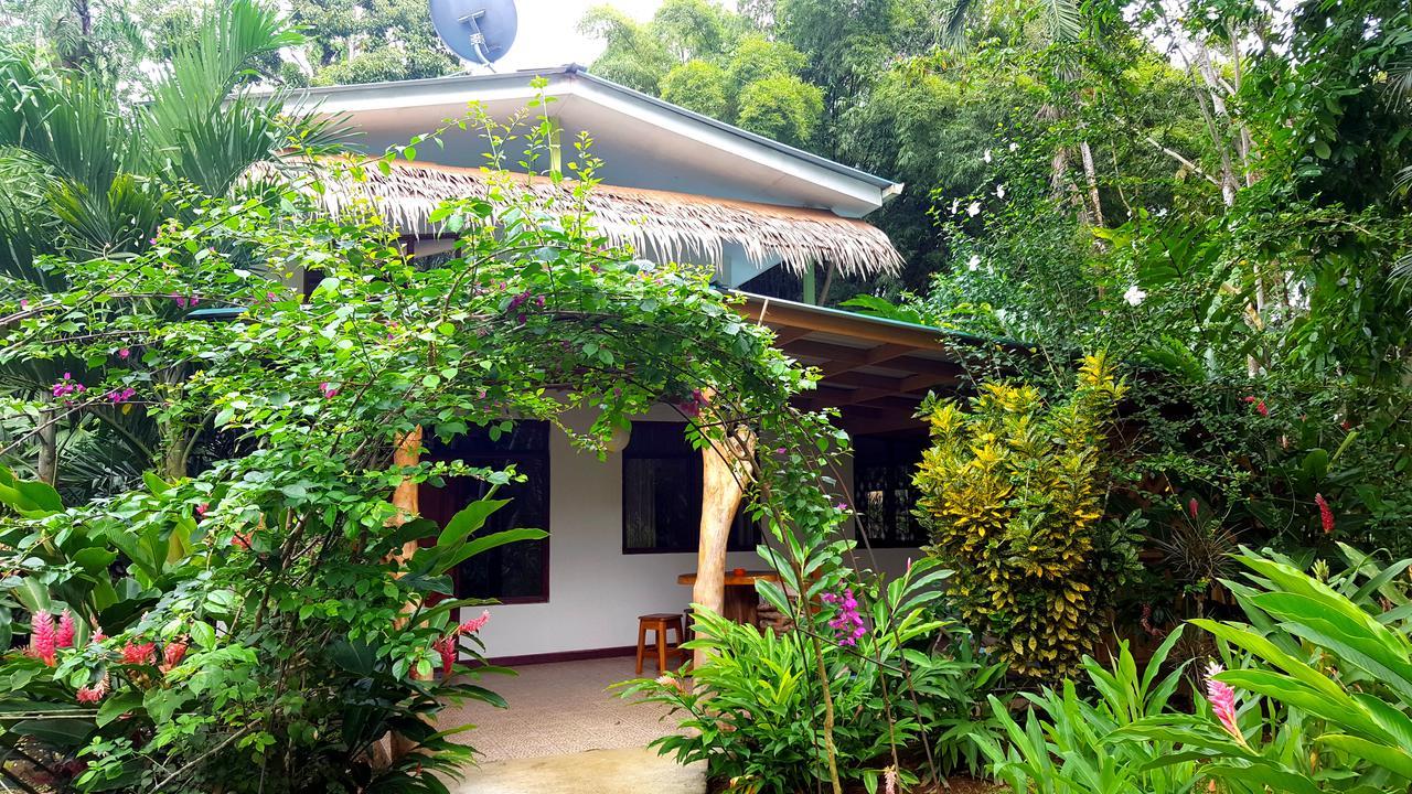 3 Bamboo Eco Lodge カウイータ エクステリア 写真
