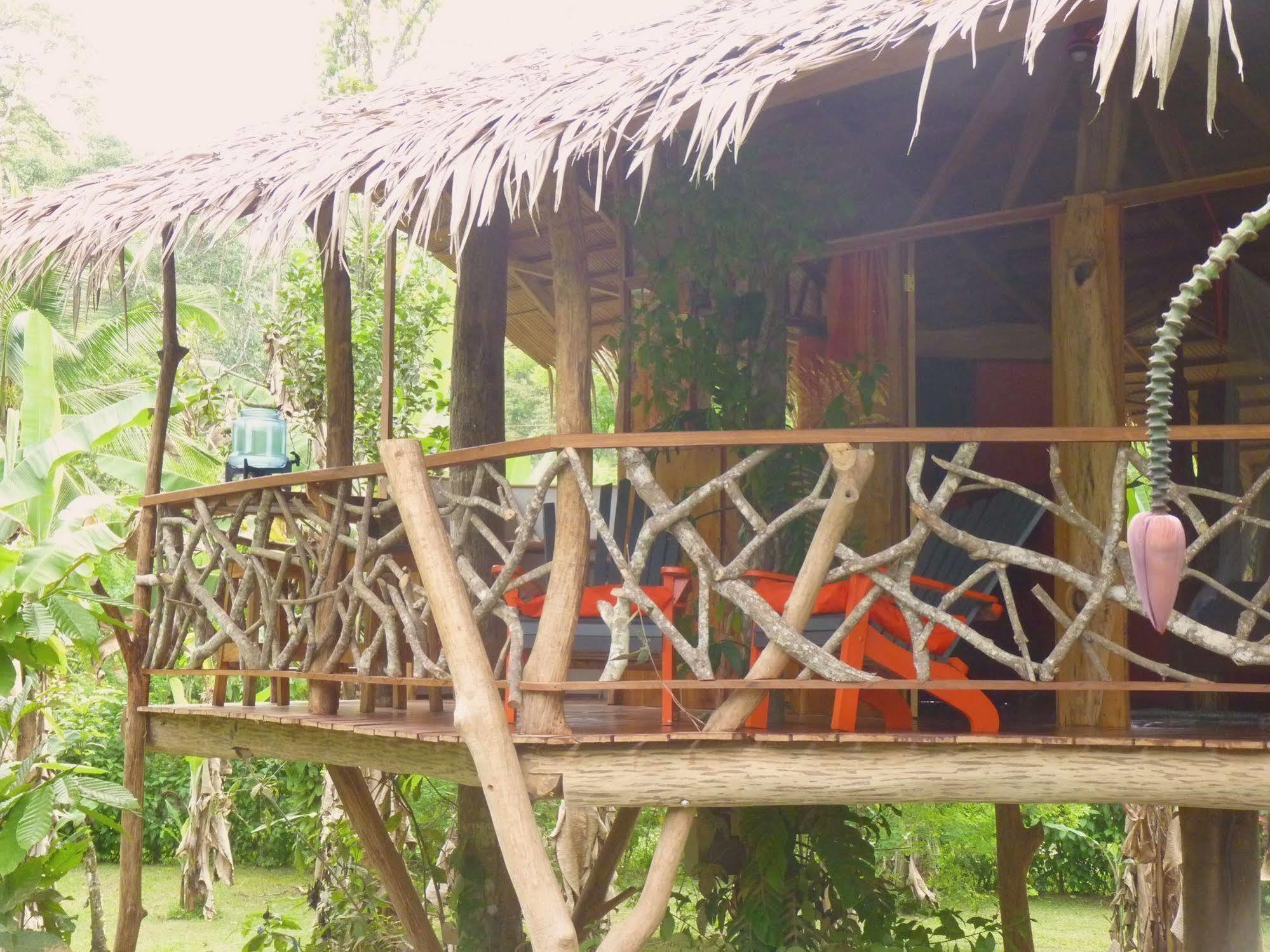 3 Bamboo Eco Lodge カウイータ エクステリア 写真