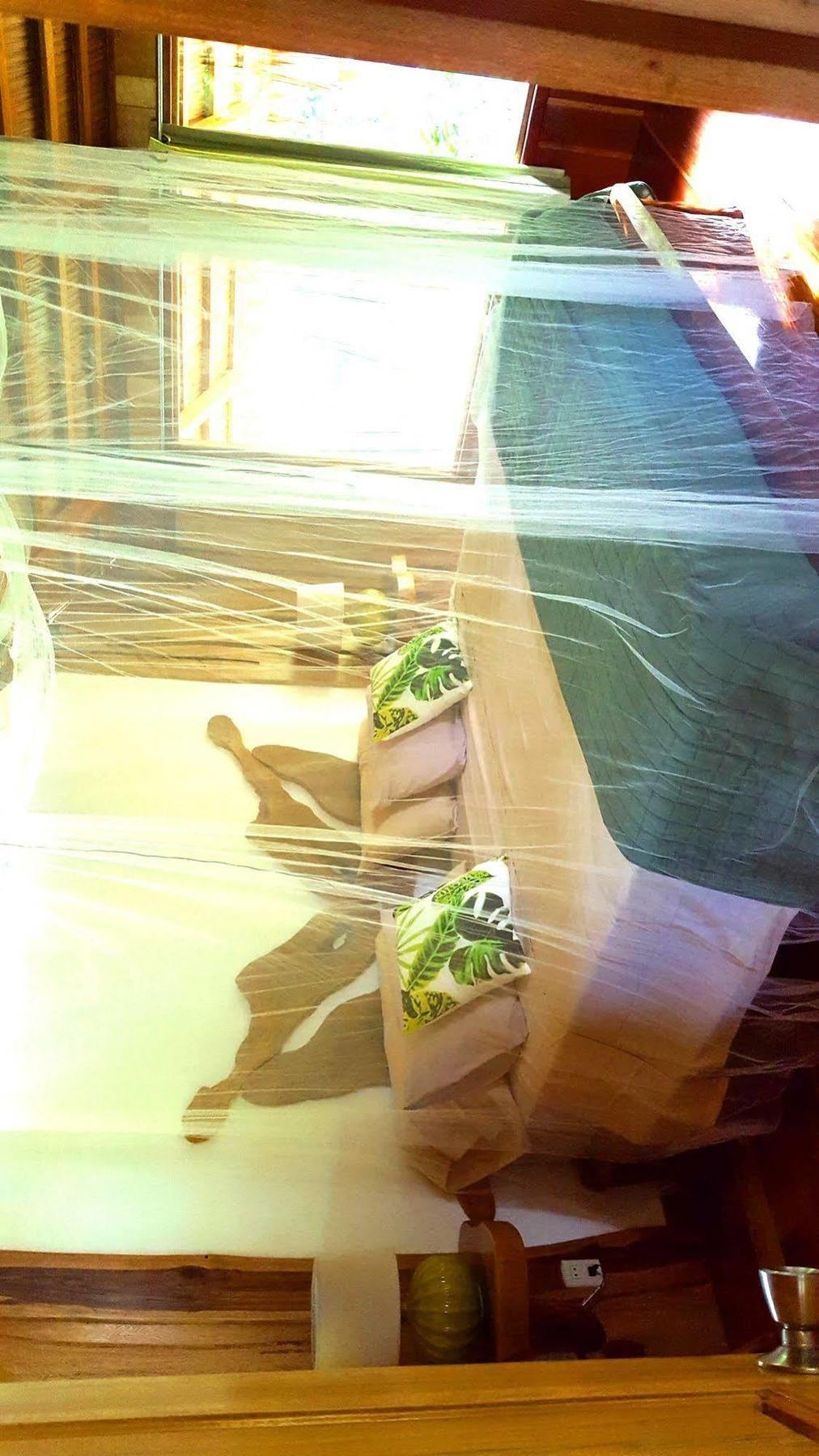 3 Bamboo Eco Lodge カウイータ エクステリア 写真
