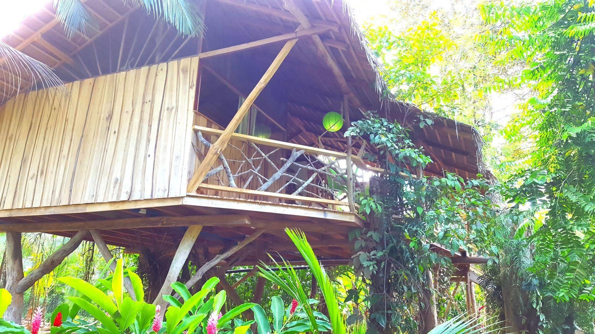 3 Bamboo Eco Lodge カウイータ エクステリア 写真