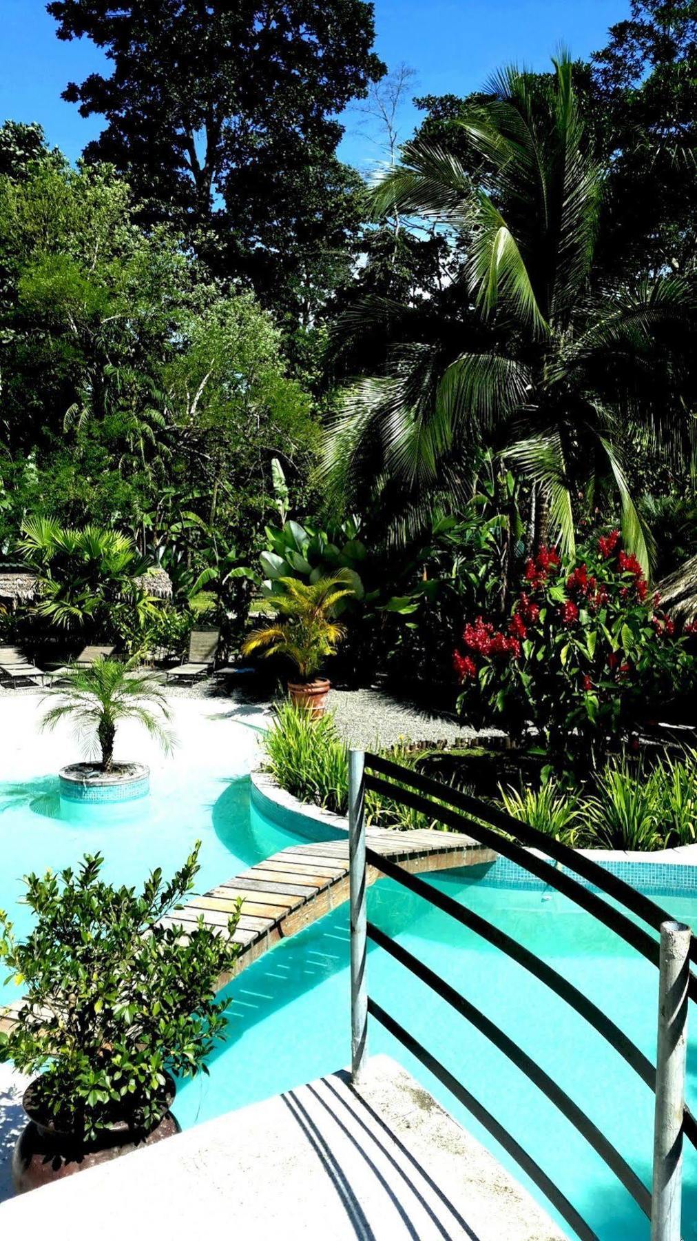 3 Bamboo Eco Lodge カウイータ エクステリア 写真