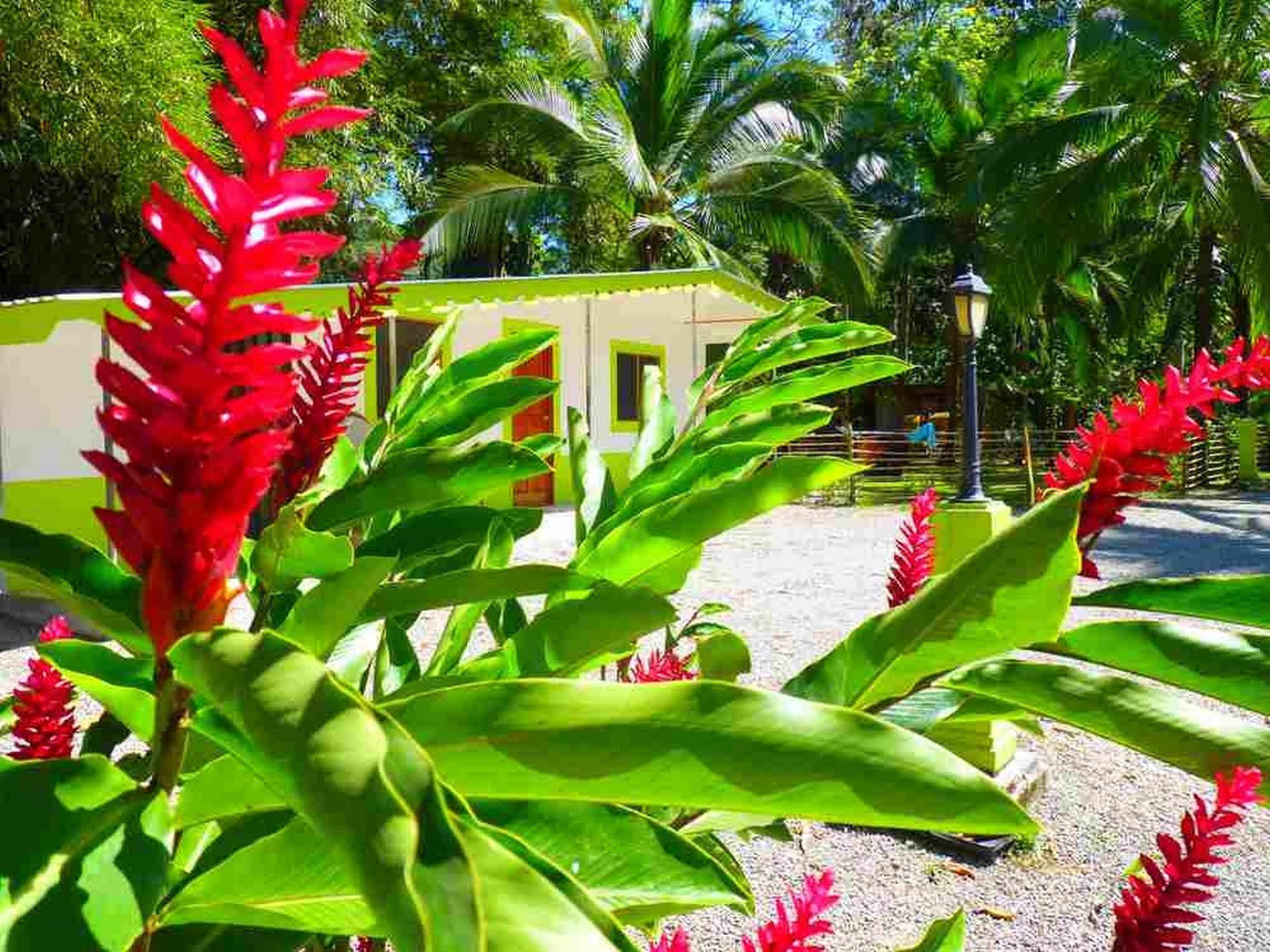 3 Bamboo Eco Lodge カウイータ エクステリア 写真