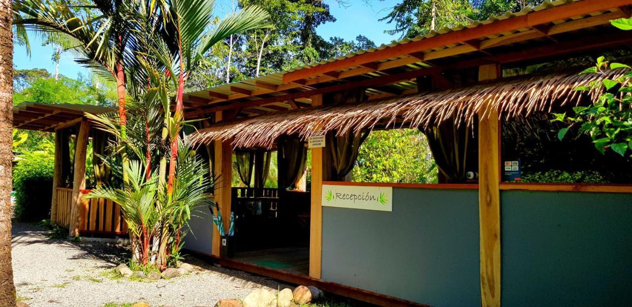 3 Bamboo Eco Lodge カウイータ エクステリア 写真